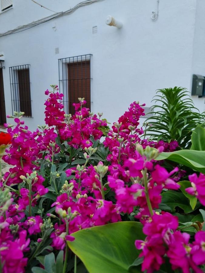 Vakantiehuis Casa Francisca En El Casco Antiguo